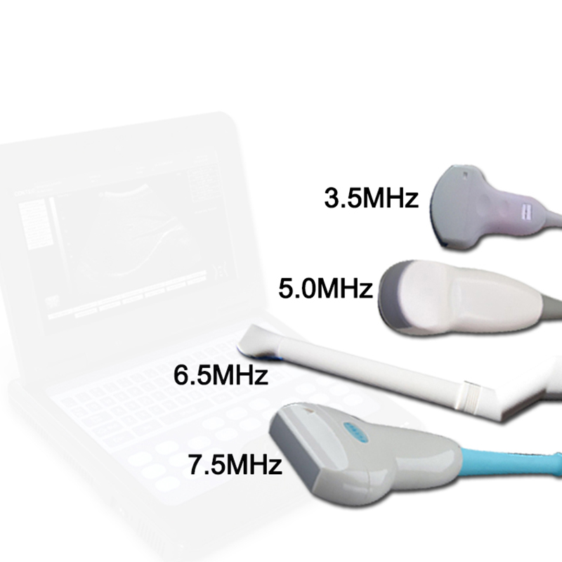 Sistema de diagnóstico por ultrasonido veterinario CMS600P2VET