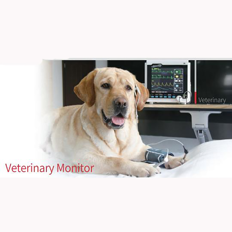 Monitor veterinario multiparamétrico portátil de pantalla grande de 8 pulgadas CMS6000VET